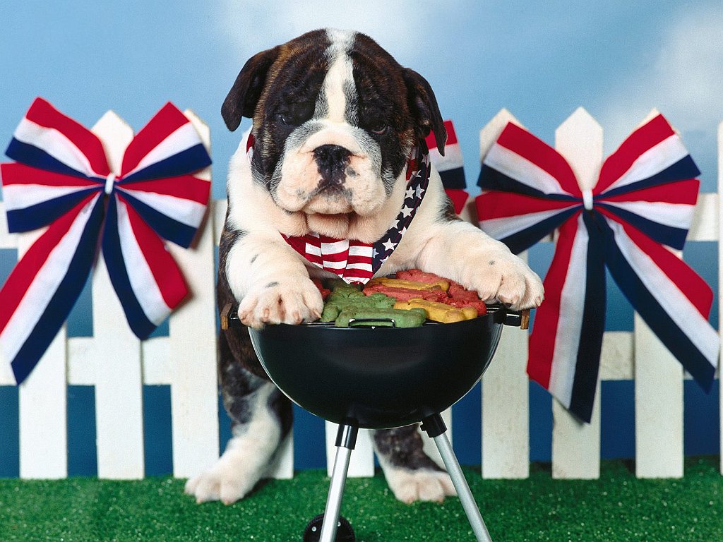 The Grill Master